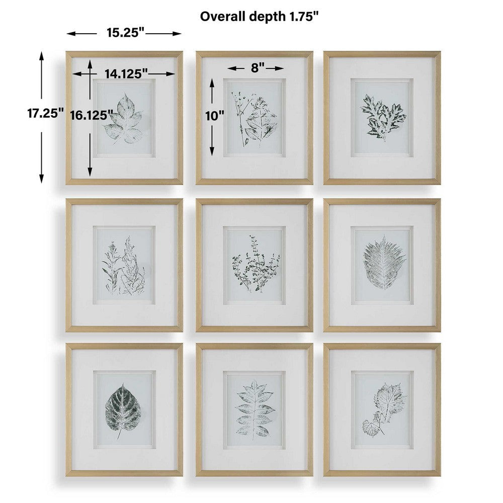 Uttermost Nature’s Script Framed Botanical Prints Set/9 UT-32449