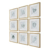 Uttermost Nature’s Script Framed Botanical Prints Set/9 UT-32449