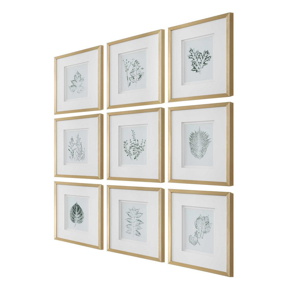 Uttermost Nature’s Script Framed Botanical Prints Set/9 UT-32449