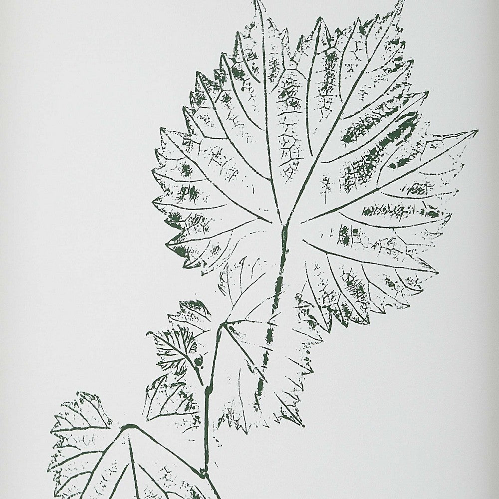 Uttermost Nature’s Script Framed Botanical Prints Set/9 UT-32449