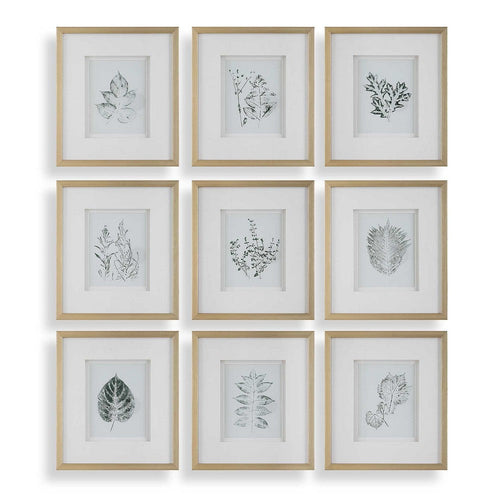 Uttermost Nature's Script Framed Botanical Prints Set/9