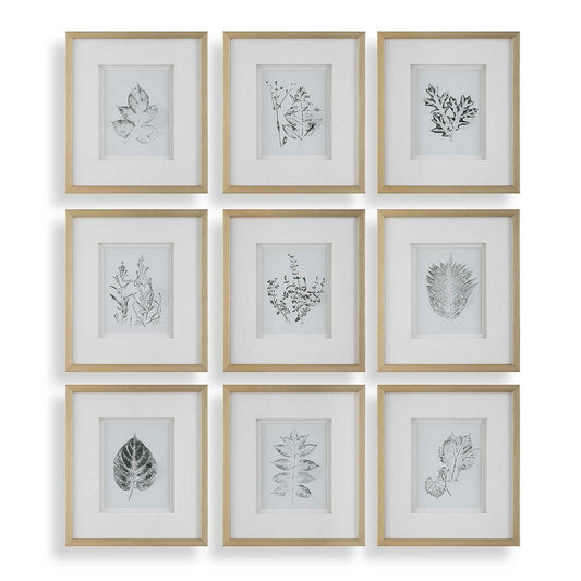 Uttermost Nature's Script Framed Botanical Prints Set/9