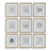 Uttermost Nature's Script Framed Botanical Prints Set/9