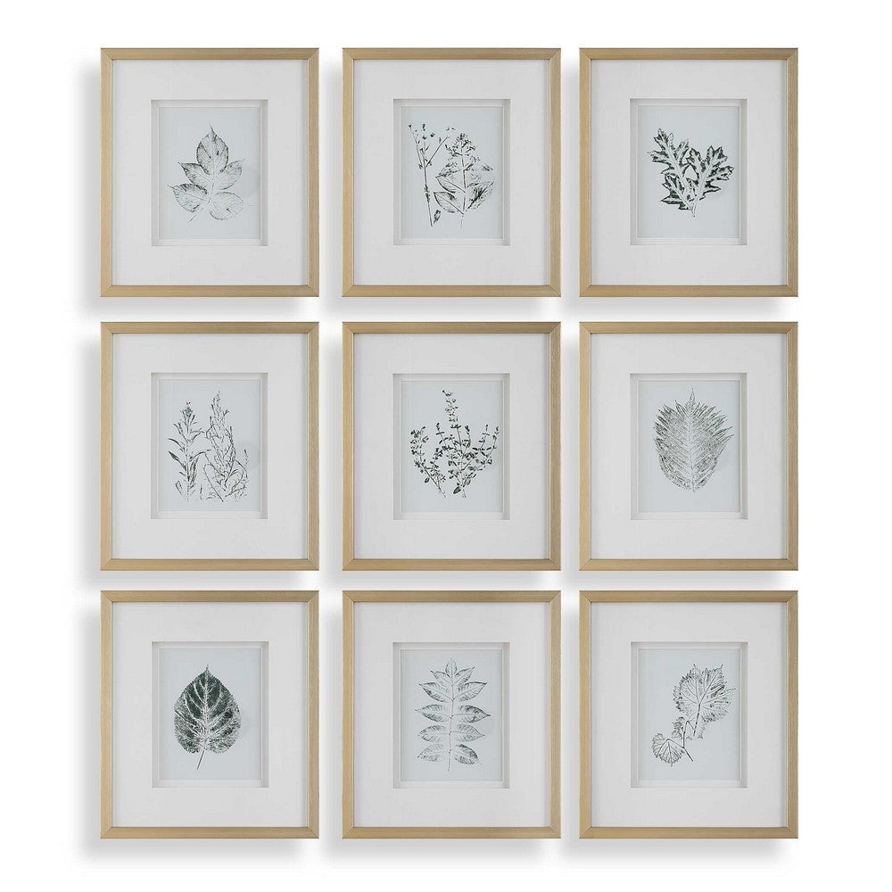 Uttermost Nature's Script Framed Botanical Prints Set/9
