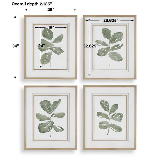 Uttermost Fiddle Head Leaf Botanical Prints Set/4