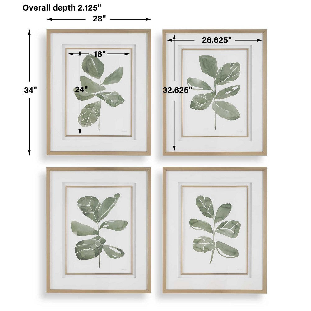 Uttermost Fiddle Head Leaf Botanical Prints Set/4