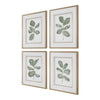 Uttermost Fiddle Head Leaf Botanical Prints Set/4 UT-32454