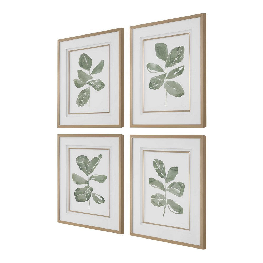 Uttermost Fiddle Head Leaf Botanical Prints Set/4 UT-32454