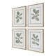 Uttermost Fiddle Head Leaf Botanical Prints Set/4 UT-32454