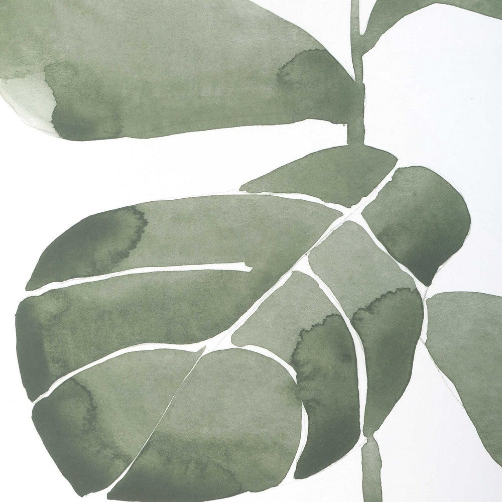 Uttermost Fiddle Head Leaf Botanical Prints Set/4 UT-32454