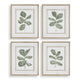 Uttermost Fiddle Head Leaf Botanical Prints Set/4 UT-32454