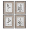 Casual Grey Study - 17.5 inch Framed Art (Set of 4) - 14.5 inches wide by 1 inches deep