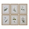 Green Floral Botanical Study - 22.63 inch Floral Print (Set of 6) - 17.63 inches wide by 1.5 inches deep