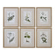Green Floral Botanical Study - 22.63 inch Floral Print (Set of 6) - 17.63 inches wide by 1.5 inches deep