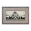 Deep Sleep - 50.13 inch Bear Print - 50.13 inches wide by 1.13 inches deep