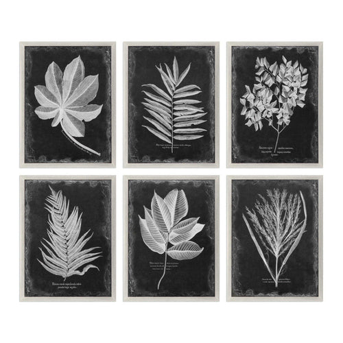 Uttermost Foliage 33 3/4" Wide 6-Piece Framed Wall Art Set