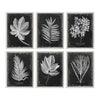 Uttermost Foliage 33 3/4" Wide 6-Piece Framed Wall Art Set