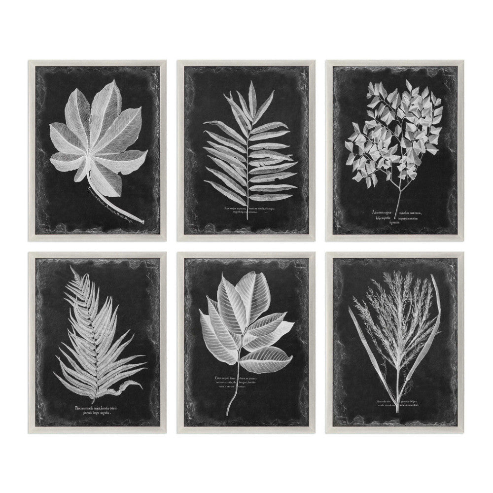 Uttermost Foliage 33 3/4" Wide 6-Piece Framed Wall Art Set