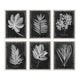 Uttermost Foliage 33 3/4" Wide 6-Piece Framed Wall Art Set
