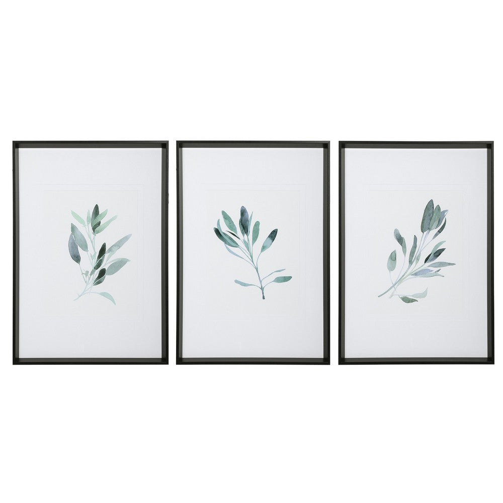 Uttermost 33723 29 x 40 x 11 in. Simple Sage Watercolor Prints, Set of 3
