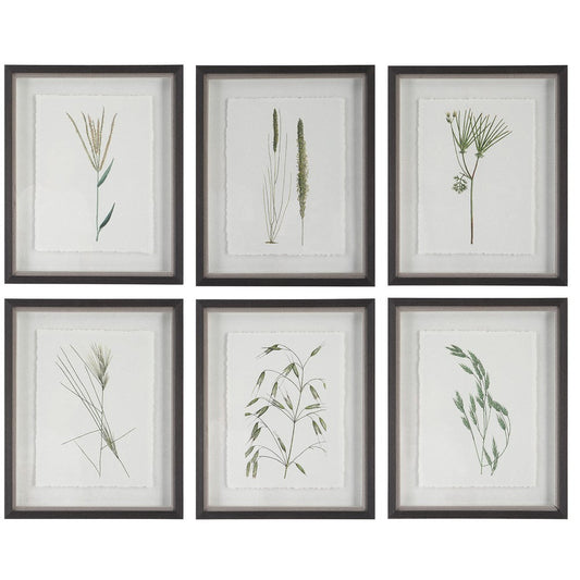 Forest Finds - Framed Wall Decor (Set of 6)-22 Inches Tall and 18 Inches Wide