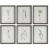 Forest Finds - Framed Wall Decor (Set of 6)-22 Inches Tall and 18 Inches Wide