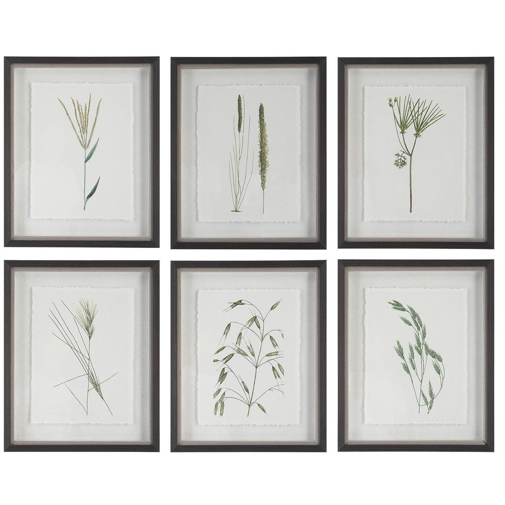 Forest Finds - Framed Wall Decor (Set of 6)-22 Inches Tall and 18 Inches Wide