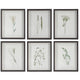 Forest Finds - Framed Wall Decor (Set of 6)-22 Inches Tall and 18 Inches Wide