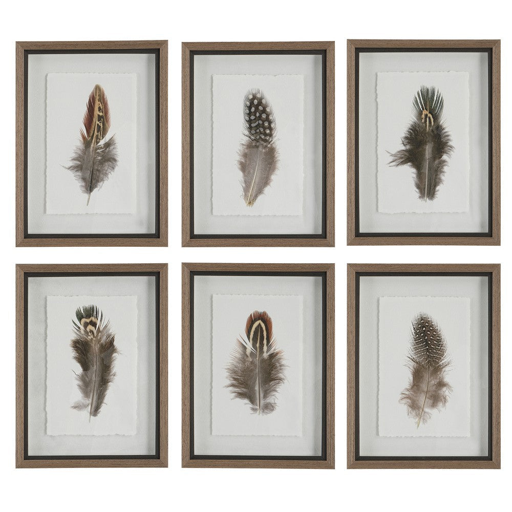 Birds Of A Feather - Framed Wall Decor (Set of 6)-20 Inches Tall and 15 Inches Wide