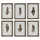 Birds Of A Feather - Framed Wall Decor (Set of 6)-20 Inches Tall and 15 Inches Wide