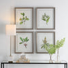 Uttermost Wildflower Study Framed Prints S/4 By Casagear Home UT-41461