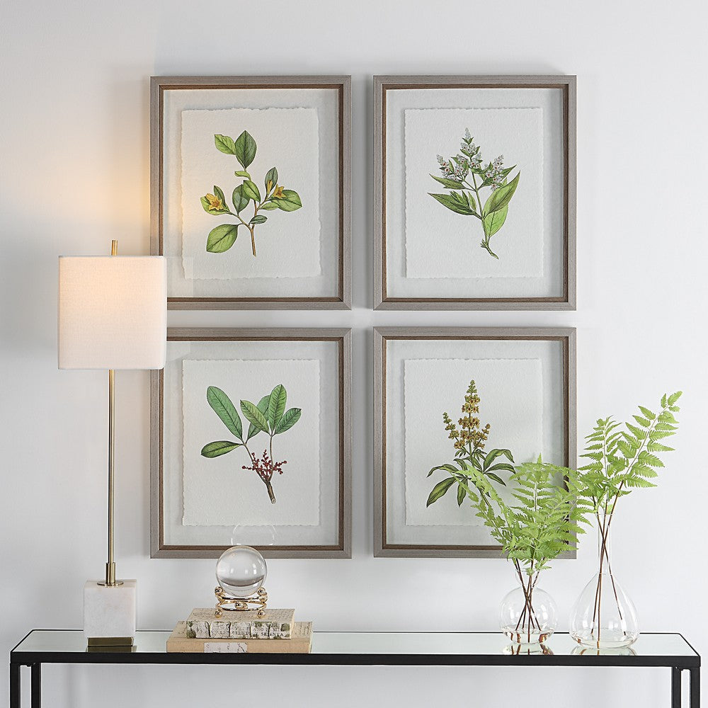 Uttermost Wildflower Study Framed Prints S/4 By Casagear Home UT-41461