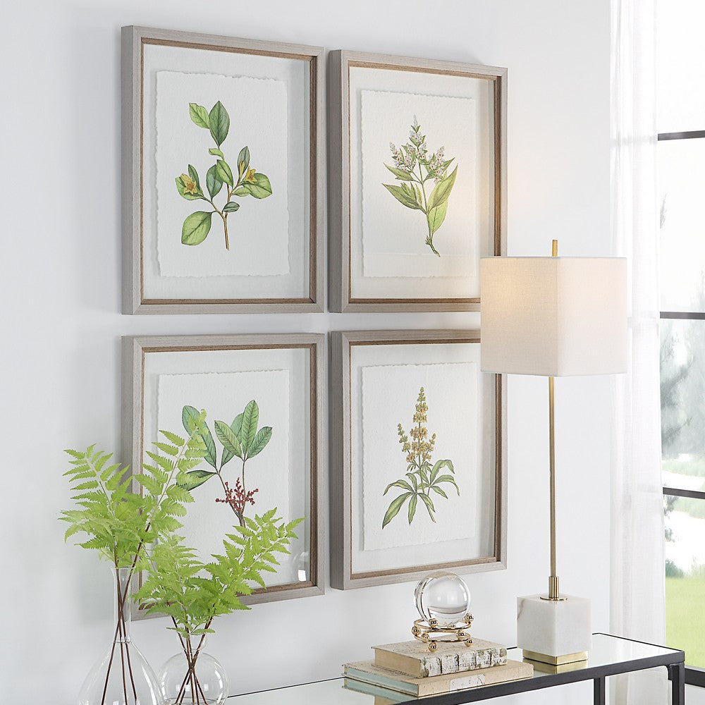 Uttermost Wildflower Study Framed Prints S/4 By Casagear Home UT-41461
