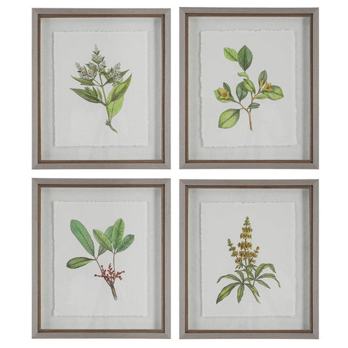 Wildflower Study - Framed Wall Decor (Set of 4)-22 Inches Tall and 19 Inches Wide