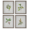 Wildflower Study - Framed Wall Decor (Set of 4)-22 Inches Tall and 19 Inches Wide