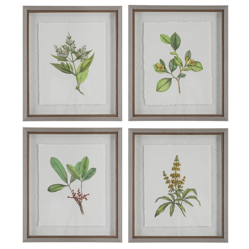 Wildflower Study - Framed Wall Decor (Set of 4)-22 Inches Tall and 19 Inches Wide