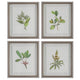 Wildflower Study - Framed Wall Decor (Set of 4)-22 Inches Tall and 19 Inches Wide