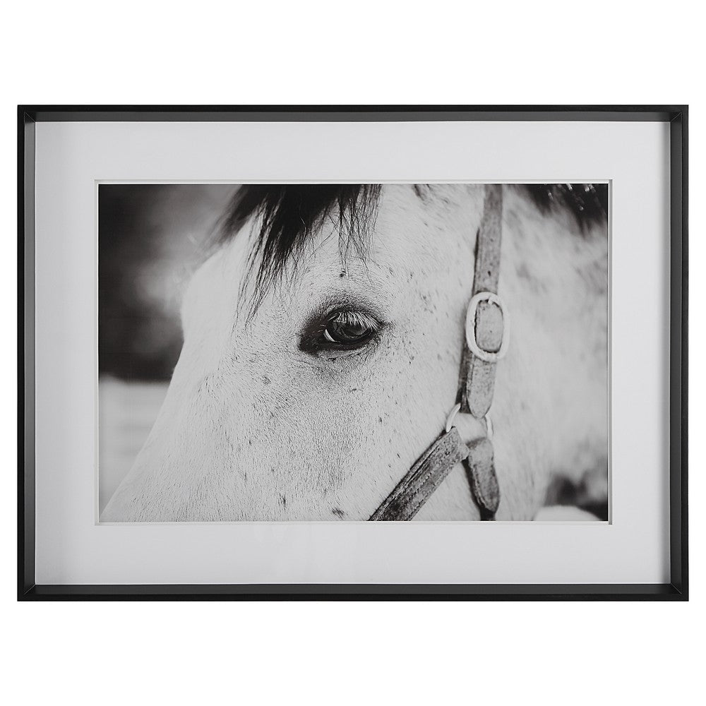 Eye Of The Beholder - Framed Print-34.25 Inches Tall and 46.25 Inches Wide