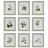 Antique - Framed Wall Decor (Set of 9)-19.5 Inches Tall and 16.75 Inches Wide
