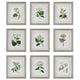 Antique - Framed Wall Decor (Set of 9)-19.5 Inches Tall and 16.75 Inches Wide