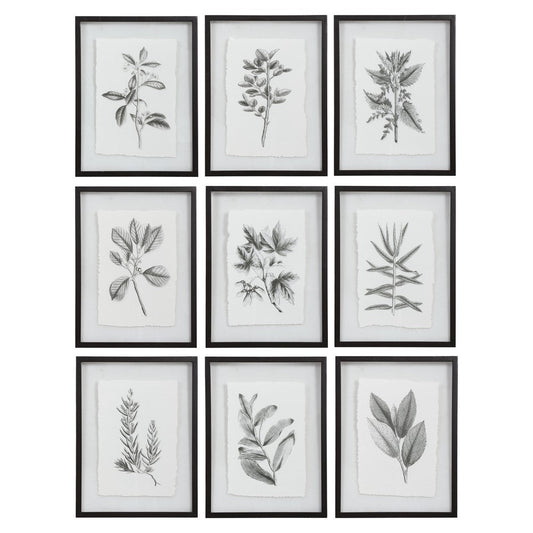 Farmhouse Florals - 23 Inch Framed Print (Set of 9) - 17.5 inches wide by 0.75 inches deep