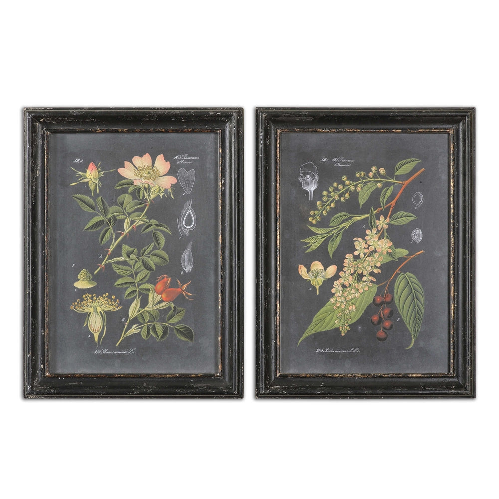 Midnight Botanicals - 32.63 inch Wall Art (Set of 2) - 24.63 inches wide by 2.38 inches deep