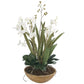 Uttermost Moth Orchid Planter By Casagear Home