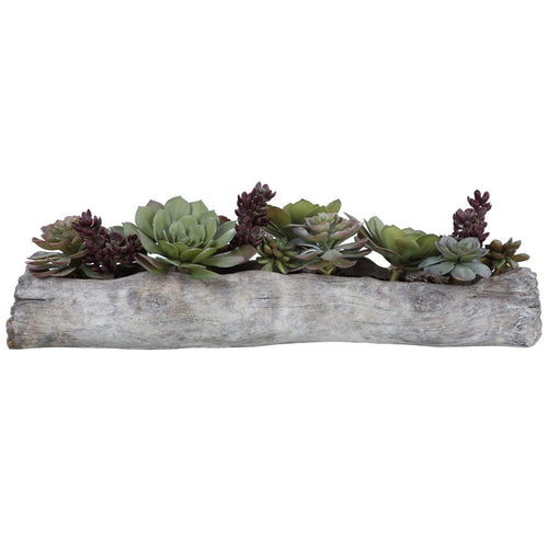 Charita - 29.5 inch Lush Succulents