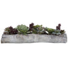 Charita - 29.5 inch Lush Succulents