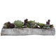 Charita - 29.5 inch Lush Succulents