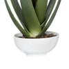 Uttermost Evarado Aloe Planter By Casagear Home UT-60177