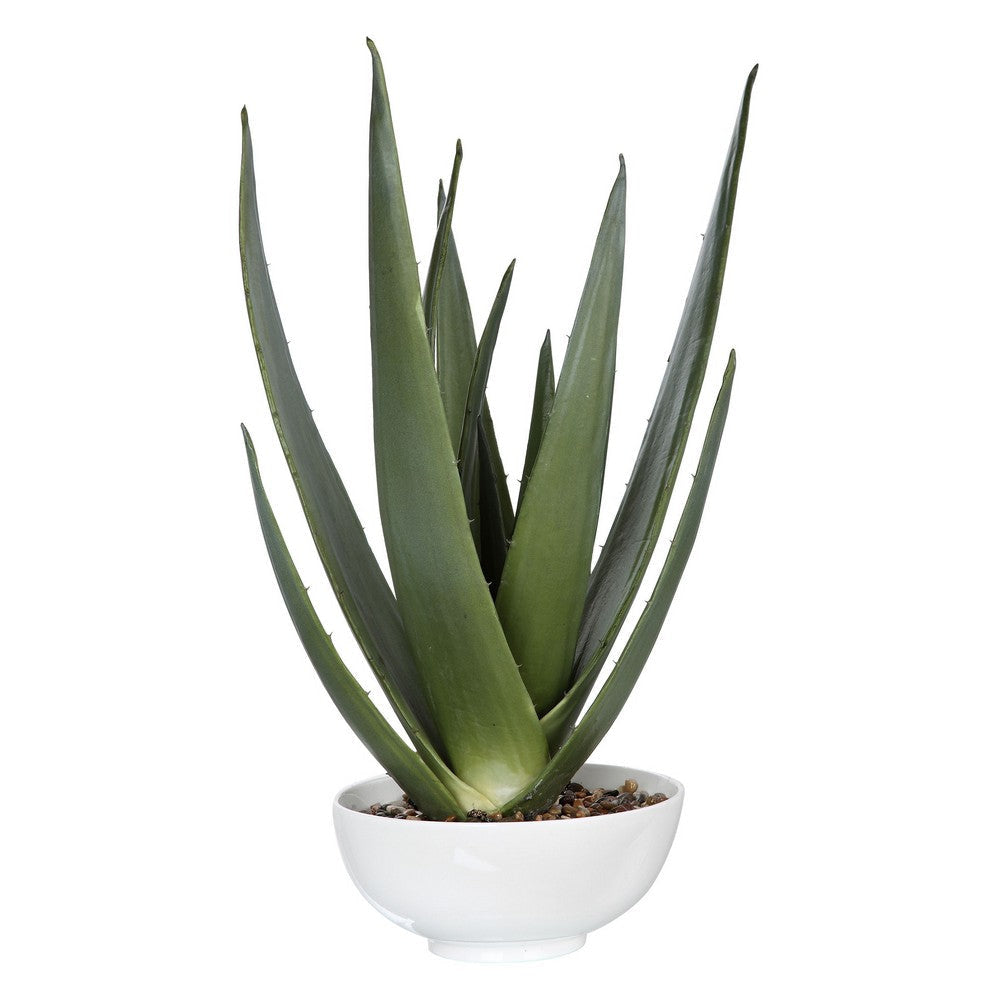 Evarado - 30 inch Aloe Planter