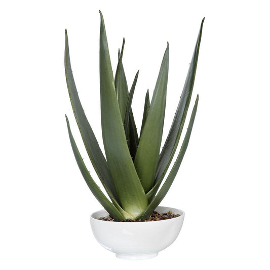 Uttermost Evarado Aloe Planter By Casagear Home