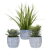 Puebla Greenery - 22 Inch Pot (Set of 3)